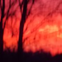 ���� ������, ����, 61 ��� - ��������� 1 ������� 2015 � ������ ���� ����������