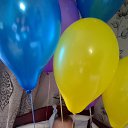  Vredin@!!!, --, 42  -  20  2015    