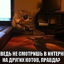 ���� ��������, ������, 33 ���� - ��������� 7 ������� 2015 � ������ ���������