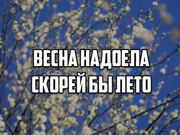    - 2  2015  11:16