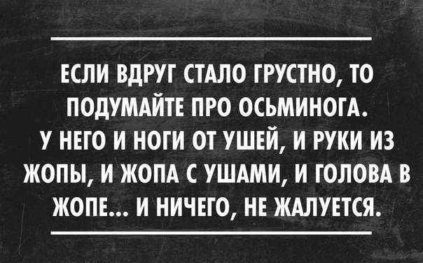 ������ ����� / ���� ! - 5 ������� 2015 � 21:57