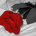 ���� ���, ������� - ��������� 1 ����� 2015 � ������ �������� ��� ��� �������