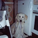 ���� �������� ���������, ���������, 54 ���� - ��������� 4 ������ 2015 � ������ �г���