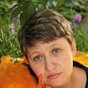 ���� ������, �������, 50 ��� - ��������� 26 ������ 2015 � ������ ���� ����������