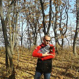 �������, �����������, 56 ���