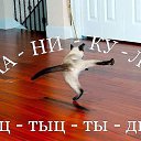 ���� Vadim, ���������, 57 ��� - ��������� 31 ������� 2014 � ������ ���� ����������
