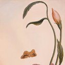 ���� Zoirxon, ����, 40 ��� - ��������� 28 ����� 2015 � ������ ���� ���߻