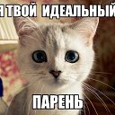 ���� �������, �������, 53 ���� - ��������� 13 ������ 2015