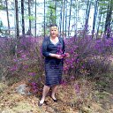 ���� �������� �������, ��������������� - ��������� 15 ������� 2015