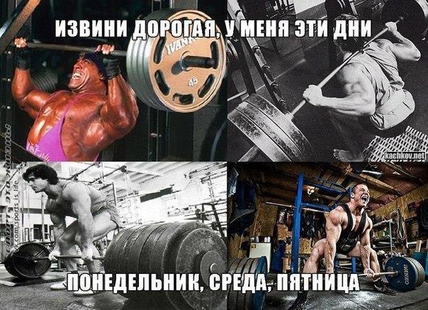  -   - 16  2015  18:27