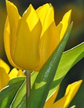 Самый лучший подарок, который дарит нам судьба - это люди, которым мы говорим