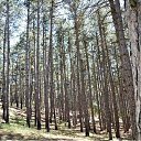 �������� ���, �������� �� ������� ��� �����������