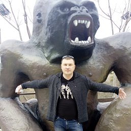 ������, ���������