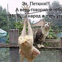 ���� ������, ����������� - ��������� 5 ������� 2015 � ������ ������ ��������
