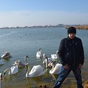 ���� ������, ���������, 42 ���� - ��������� 24 ������ 2015 � ������ �XXX�