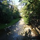 ���� ��������, ����, 40 ��� - ��������� 29 ������� 2014 � ������ ���� ����������