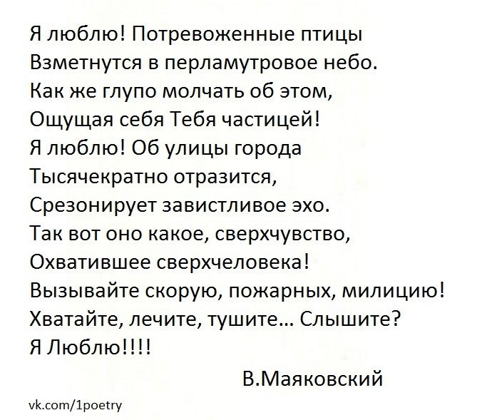 Вы любите розы а я на них. Нате маяковский стих анализ. Стих маяковского вы любите розы читать. Стихи маяковского стихи маяковского. Стих маяковского про розы.