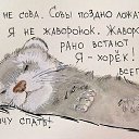 ���� T�����, ����� - ��������� 26 ������ 2015 � ������ ������ ��������