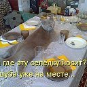 ���� ���������b��, ������ - ��������� 8 ����� 2015 � ������ ���� ����������