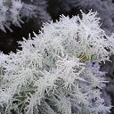 ���� �������, ������ - ��������� 14 ������� 2014 � ������ ������ ��������