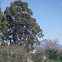 ���� ���, ����, 65 ��� - ��������� 30 ����� 2015 � ������ ��������.�