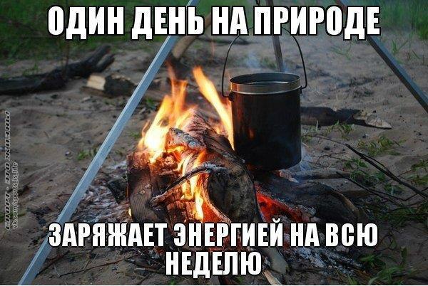  -   - 11  2015  17:49