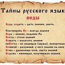  , , 42  -  11  2015   ,  !!!
