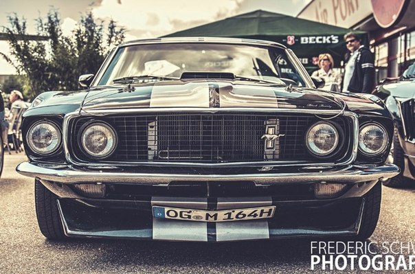 Shelby and Ford Mustang - 5