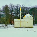 ���� ������, �������, 59 ��� - ��������� 20 ������� 2015 � ������ ������ ��������