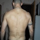 ���� ������, �����, 40 ��� - ��������� 29 ����� 2015 � ������ ���� ����������