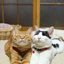 ���� ������, ������-���, 62 ���� - ��������� 15 ������ 2015 � ������ ������ ��������