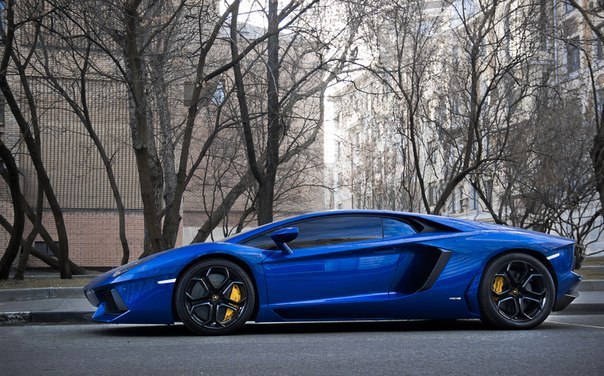 Blue Lamborghini Aventador - 5