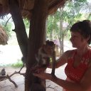 ���� �����, ���������, 66 ��� - ��������� 10 ������ 2015 � ������ ���� ����������