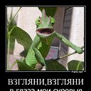 ���� Yogdao, ������, 66 ��� - ��������� 12 ������ 2015 � ������ ������ ��������