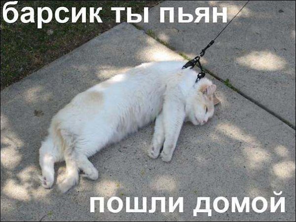 K K - 18  2015  10:07