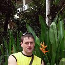 ���� ������, �����, 44 ���� - ��������� 22 ������ 2015