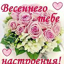 ���� ����, ����� - ��������� 24 ����� 2015 � ������ �������� ��������