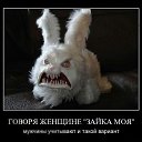 ���� ������, ����, 44 ���� - ��������� 24 ������� 2014 � ������ ������ ��������