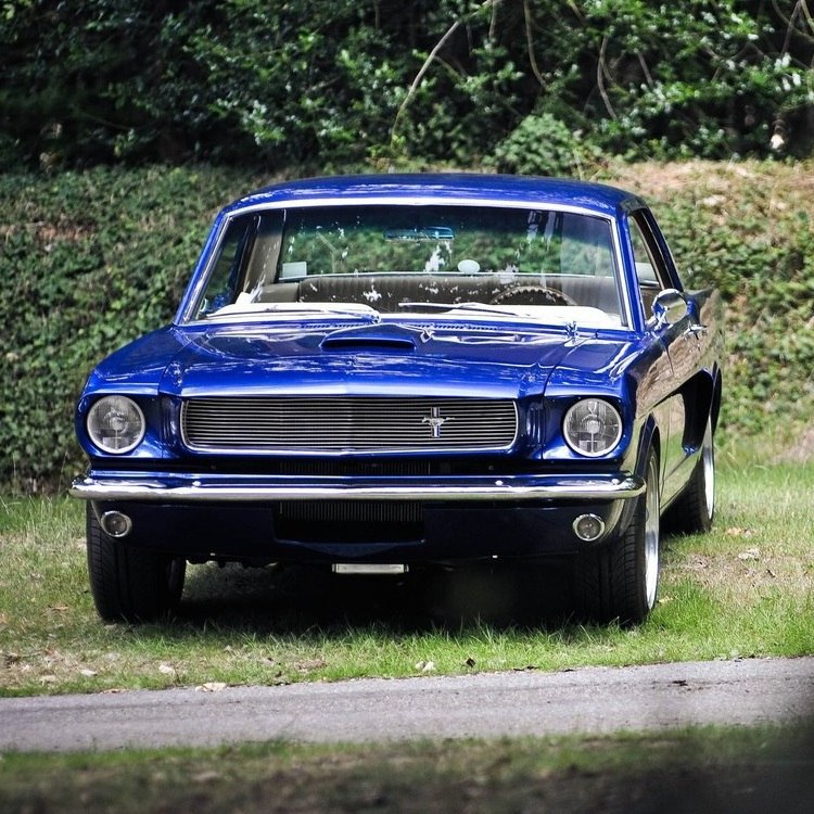 1965 Ford Mustang