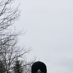 �����, �����������, 56 ���