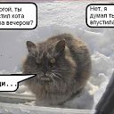 ���� ������, ������-��-����, 52 ���� - ��������� 2 ������ 2015 � ������ ���� ����������