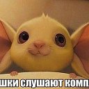 ���� Lera, ����� - ��������� 28 ����� 2015 � ������ ������ ��������