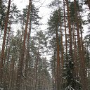 ���� ����� �������, ��������, 54 ���� - ��������� 15 ������ 2015 � ������ ������ ��������