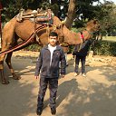  Mirzo, , 43  -  26  2015   