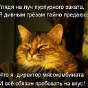 ���� Simma, ������, 57 ��� - ��������� 28 ������ 2015 � ������ ������ ��������