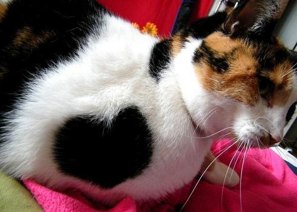       - 3  2015  02:30 - 4