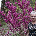 ���� ���, ����, 65 ��� - ��������� 30 ����� 2015 � ������ ��������.�