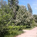 ���� Aleksandr, ��������, 55 ��� - ��������� 28 ������� 2015 � ������ ������� ���