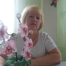 ������, ��������, 68 ���