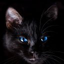 ���� �����*****, ����������, 39 ��� - ��������� 5 ������ 2015 � ������ ������ ��������